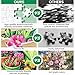 WSCXSC 300 Piece Puzzle for AdultsJigsaw Puzzles 300 Pieces Flower Garden Puzzle for Adult Kids Elderly Plant Jigsaw Puzzles for Adults 300 Pieces Premium Cardboard Puzzles Birthday Party Gift - Image 4