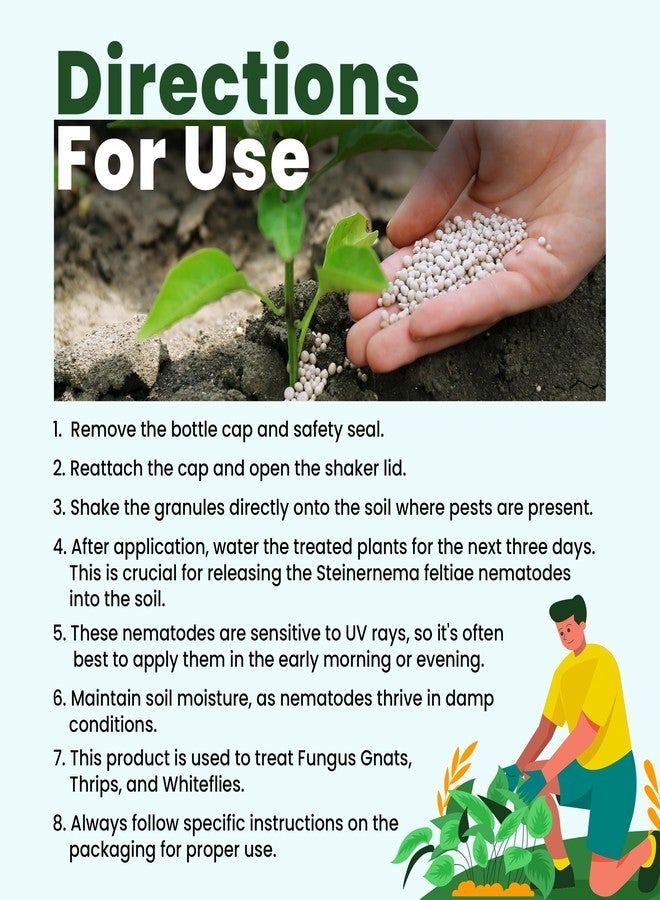 نيما نايتس، ديدان خيطية بطيئة الإطلاق، مكافحة بيولوجية للذباب، لآلئ خيطية قابلة للرج، 10 أونصة (تكفي لمعالجة مساحة تصل إلى 1000 قدم مربع تقريبًا أو 50 وعاءً) - لمكافحة ذباب الفطريات والتربس في الأوعية والحدائق - Image 3