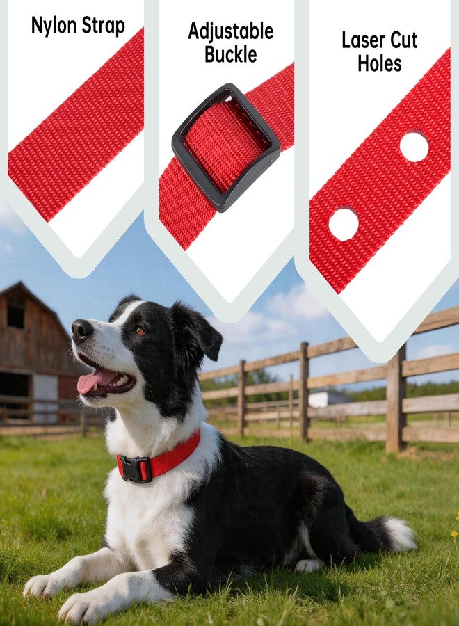 Dukrouk 2Pack Replacement Collar Compatible with Petsafe If 100 - Image 3
