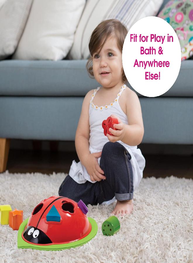 Edushape Ladybug Sorter - Sorting Bathtub Toys - Early Child Development Learning Educational Toy - Toddler Bath Toys - Baby Bath Toys for Toddlers 1-3 Teaches Cause & Effect, Cognitive Skills - Image 3
