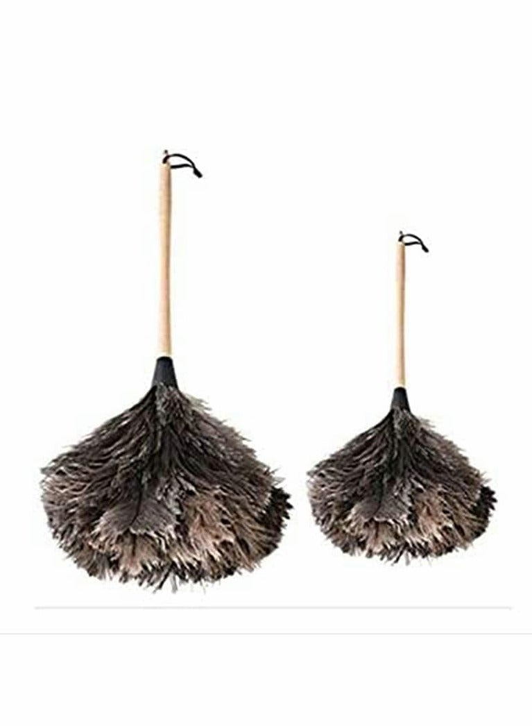 Beauenty Eco-Friendly Ostrich Feather Duster Set for Home and Car Cleaning Soft and Reusable Easy to Clean 2 Pcs - Image 1