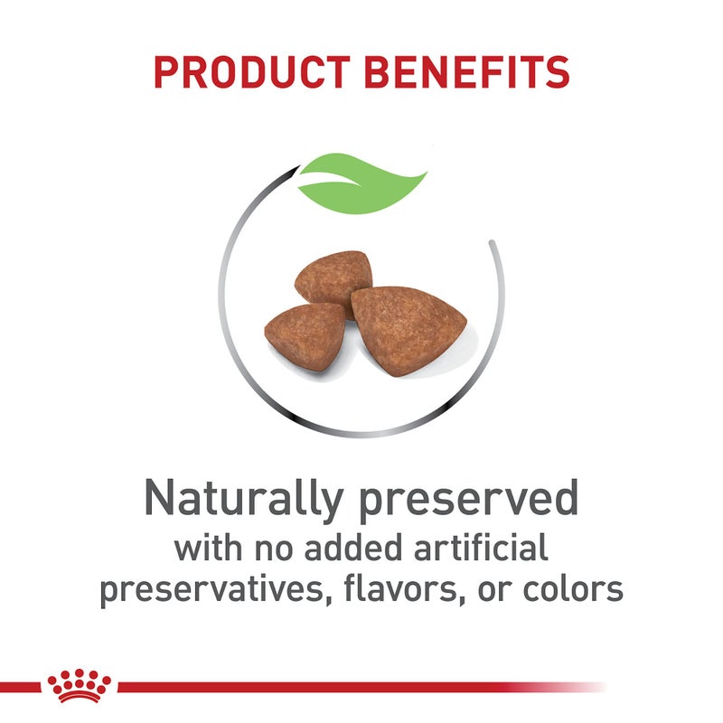 ROYAL CANIN طعام جاف للجراء من رويال كانين بحجم صحي للتغذية، يدعم تطوير الدماغ، دعم المناعة وصحة الجهاز الهضمي، 3 رطل - Image 3