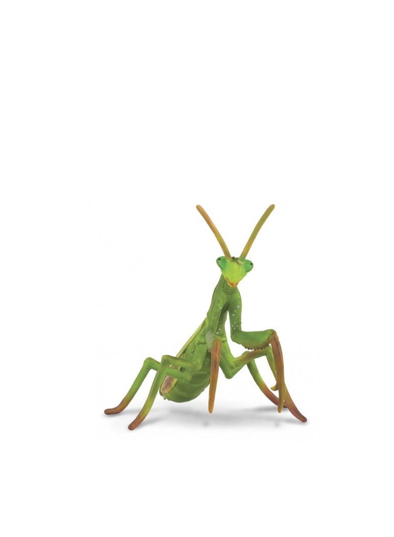 COLLECTA PRAYING MANTIS