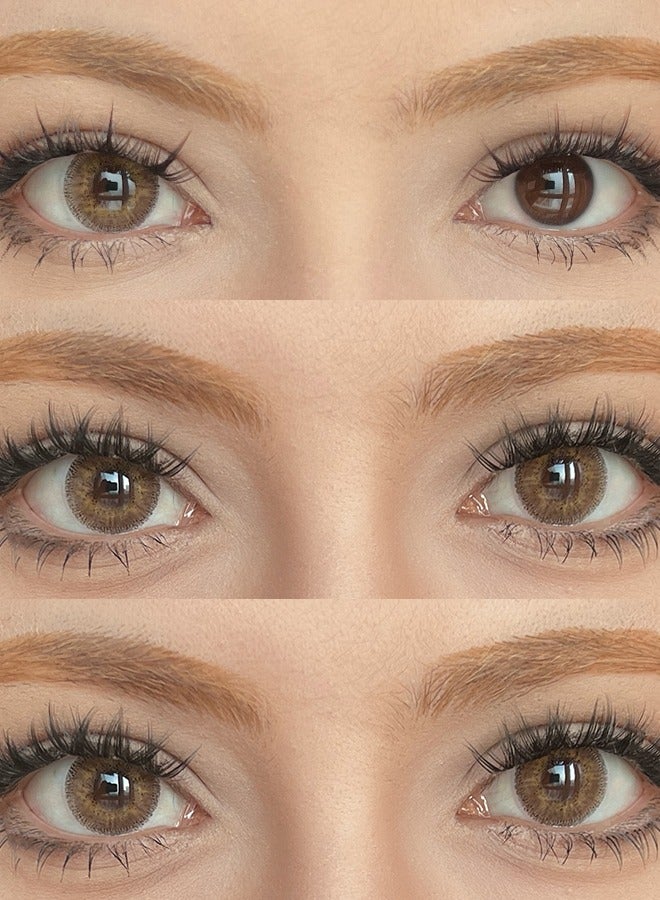 Freshlady Honey 14.00mm Colored Contact Lenses Yearly Disposable for Daily Wearfor Daily Wear - Image 5