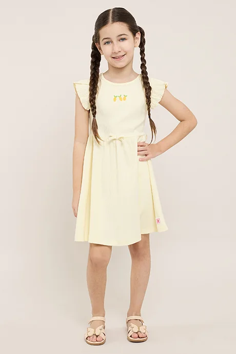 R&B Ribbed Flared Dress with Crew Neck and Flutter Sleeves