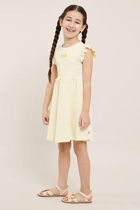 R&B Ribbed Flared Dress with Crew Neck and Flutter Sleeves