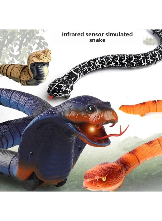 محاكاة غريبة للتحكم عن بعد كوبرا بالأشعة تحت الحمراء للتحكم عن بعد خدعة واقعية أفعى الجرسية نموذج حيواني صغير - اللون: 9909s ثعبان كهربائي صندوق ألوان صغير - Image 3