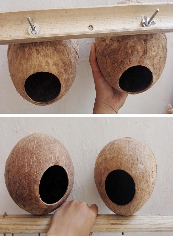 OMEM Hamster House,Bird Coconut House,Coconut Shells can Fixed in Bamboo, Birdcages, Hamster Cages (L) - Image 4