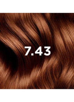 Phytocolor Permanent Hair Color 7.43 Golden Copper Blonde - pzsku/Z939719169BDC5312ECDAZ/45/_/1720587816/61aa1758-dfb2-4773-9231-8d46595eff0a