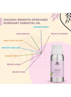 Devinez Rosemary Essential Oil, 250ml in Anodized Aluminum Bottle, 100% Pure, Natural, Undiluted & Therapeutic grade, Natural Relaxant, Skin Care, Aromatherapy, Hair Conditioner - pzsku/Z939757FFBE36F92FBBB1Z/45/_/1738306156/6d2bc6fa-8cc7-448b-a62e-f416cf6abcc6