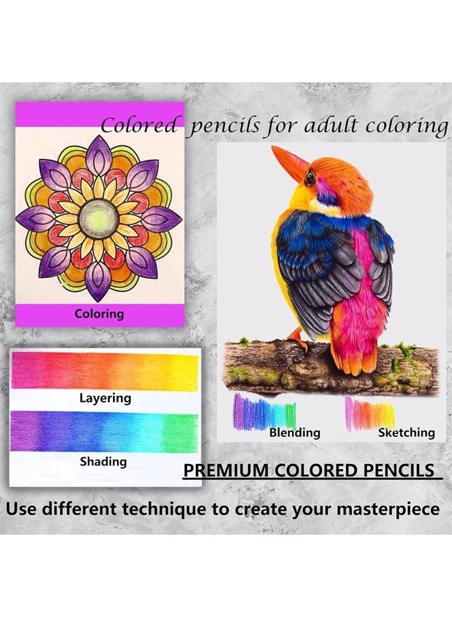 مجموعة 72 قلم تلوين مع قلم رسم إضافي، ممحاة، براية وأنبوب تخزين صديق للبيئة – مثالية للتلوين والرسم والتظليل - Image 5