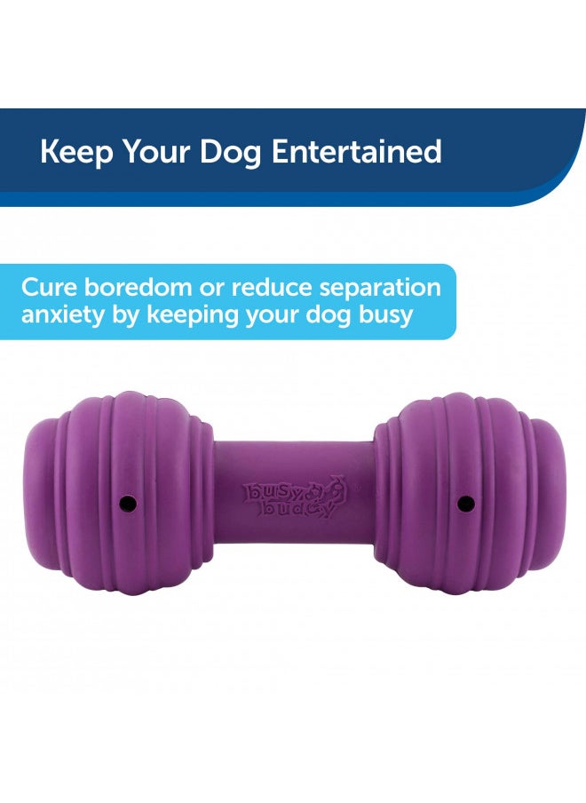 PetSafe Busy Buddy Chuckle Sound Dog Chew Toy - Treat Dispenser, BB-CHK, Purple,Medium/Large