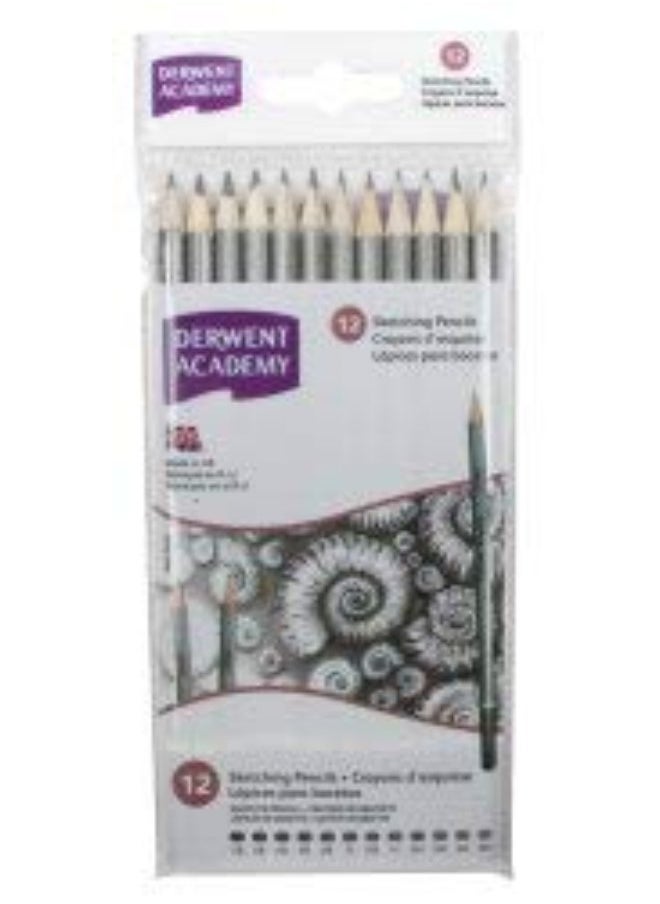 Derwent - Derwent Academy Graphite Sketching pencils, Wallet, 12 Count (2300412) - Image 1
