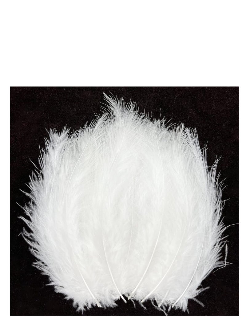 Natural White Ostrich Feathers, White Wedding Feathers, Safe and Non Toxic, Soft and Fluffy, Easy To Use, Can Be Used To Decorate Weddings, Parties, Home, Flowers, Masks, Etc, 10Pcs, White - Image 1