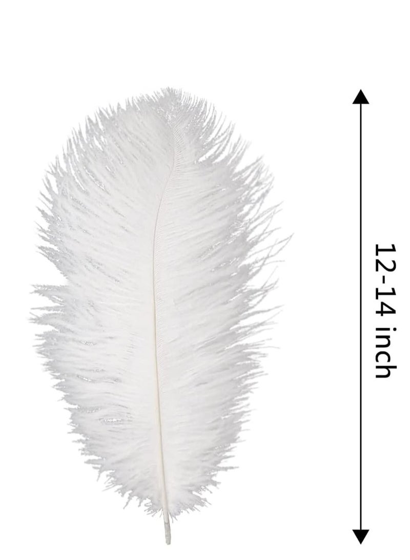 Natural White Ostrich Feathers, White Wedding Feathers, Safe and Non Toxic, Soft and Fluffy, Easy To Use, Can Be Used To Decorate Weddings, Parties, Home, Flowers, Masks, Etc, 10Pcs, White - Image 2