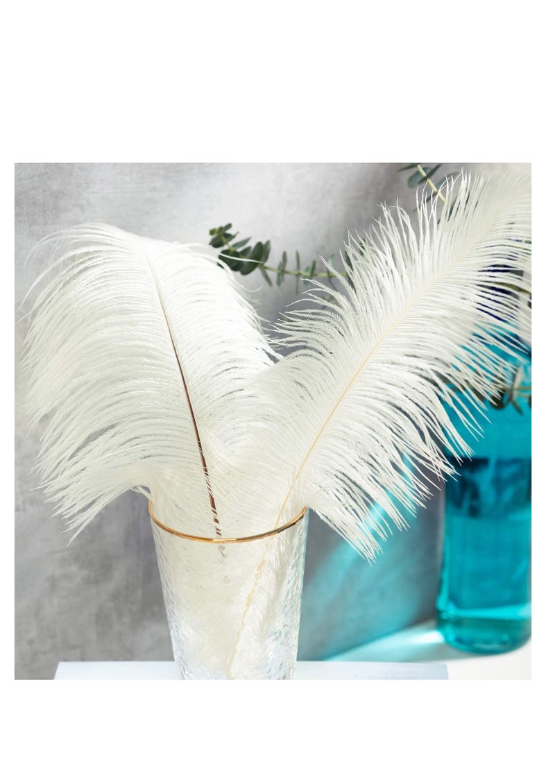 Natural White Ostrich Feathers, White Wedding Feathers, Safe and Non Toxic, Soft and Fluffy, Easy To Use, Can Be Used To Decorate Weddings, Parties, Home, Flowers, Masks, Etc, 10Pcs, White - Image 3