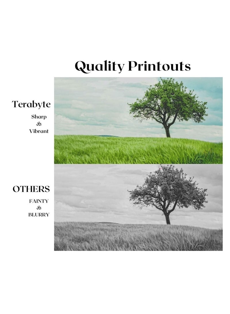 Terabyte DR3000 DRUM - Image 2