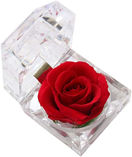 Enchanted Rose in Acrylic Crystal Ring Box Handmade Real Preserved Fresh Flower Eternity Rose Romantic Gift for Her Mothers Day Surprise Mom Wife Red