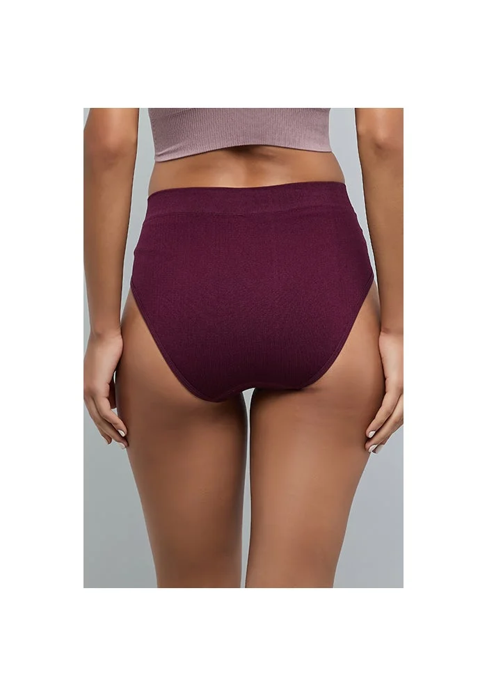 R&b 2 Pack Seamfree Bikini Briefs