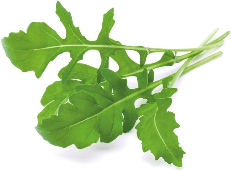 Click and Grow Arugula Refill 3-Pack for Smart Garden - Image 2