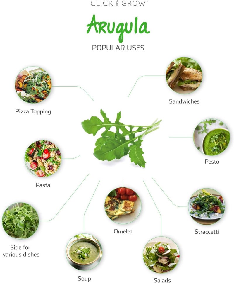 Click and Grow Arugula Refill 3-Pack for Smart Garden - Image 5