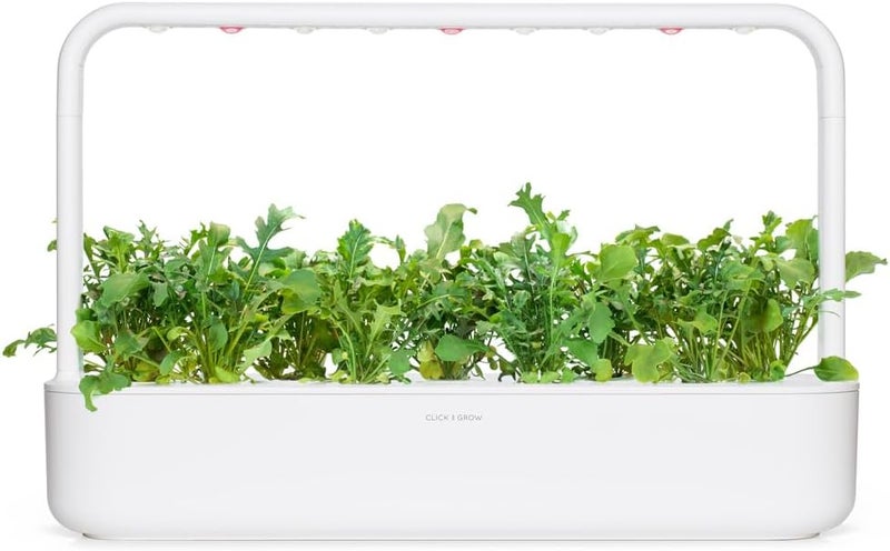 Click and Grow Arugula Refill 3-Pack for Smart Garden - Image 3