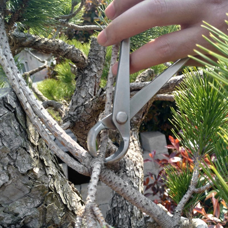 180mm Stainless Steel Knob Cutter Ball Shear Scissors Landscape Modeling Garden Bonsai Tools - Image 2