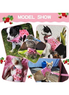 BINGPET BINGPET Cat Harness with Leash Escape Proof - Fashionable Mesh Cat Dog Walking Harness Leads, Adjustable for Kitties Puppies Small Animals  - Image 5