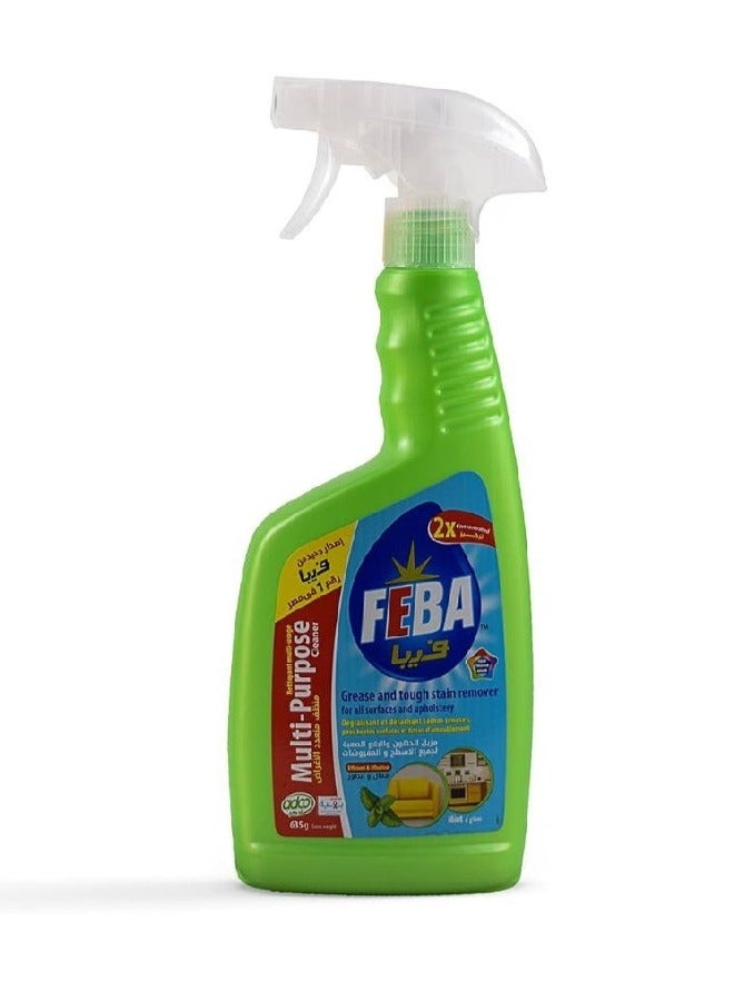 Mint Multi-purpose Cleaner 635gm