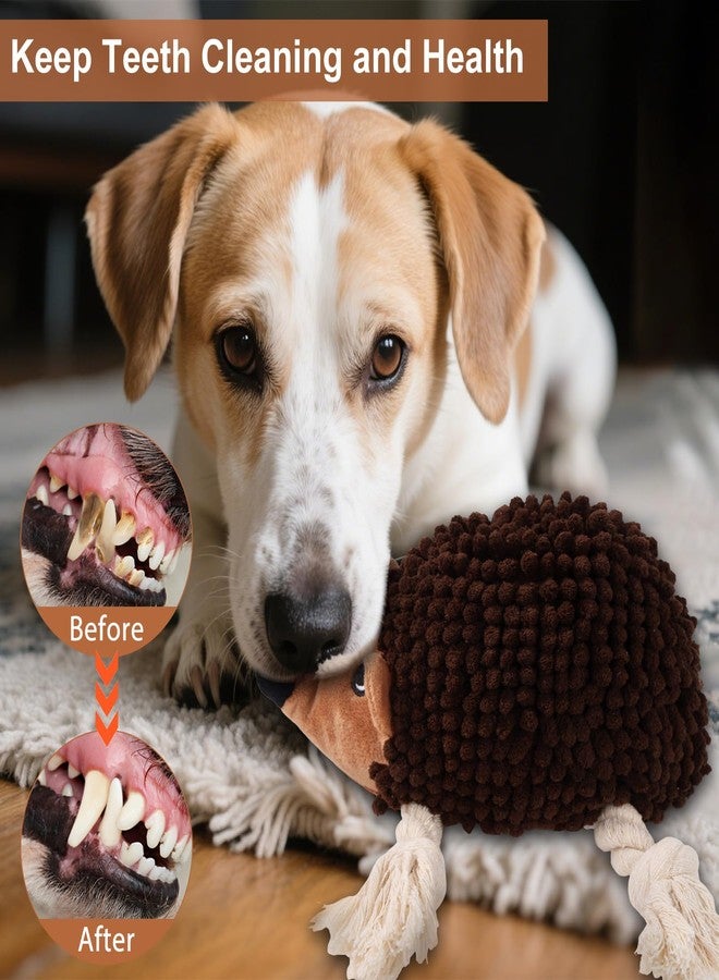 Drmstow Dog Squeaky Toys for Dogs - Hedgehog Mop Plush Interactive Rope Toy, Durable Chew Toy with Squeaker and Crinkle for Small to Large Dogs, Tug of War Pet Toy for Puppies & Aggressive Chewers - Image 3