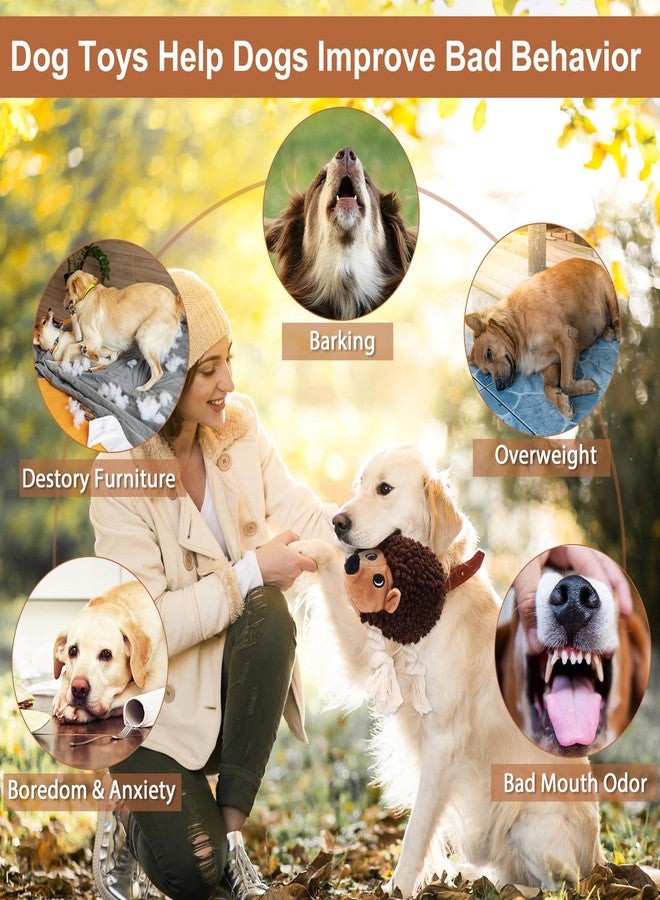 Drmstow Dog Squeaky Toys for Dogs - Hedgehog Mop Plush Interactive Rope Toy, Durable Chew Toy with Squeaker and Crinkle for Small to Large Dogs, Tug of War Pet Toy for Puppies & Aggressive Chewers - Image 4