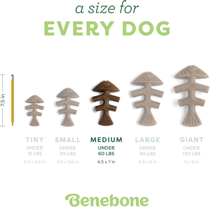 Benebone Indestructible Fishbone Dog Chew Toy for Aggressive Chewers, Long Lasting Tough Boredom Breaker for Dogs, Real Jack Salmon Flavour, For Medium Dogs, Made in the USA. - Image 4