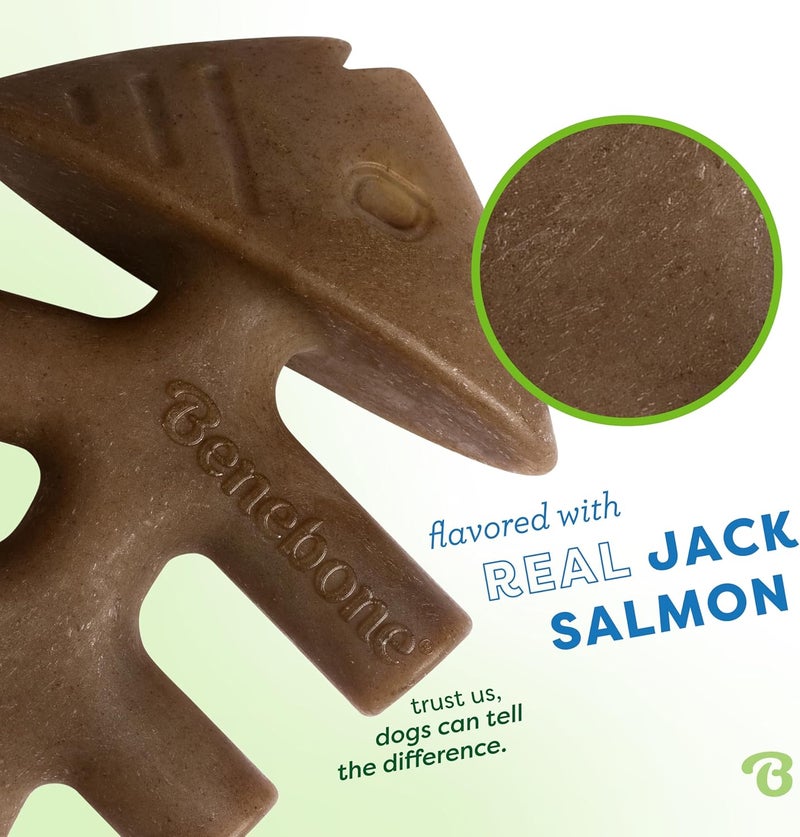Benebone Indestructible Fishbone Dog Chew Toy for Aggressive Chewers, Long Lasting Tough Boredom Breaker for Dogs, Real Jack Salmon Flavour, For Medium Dogs, Made in the USA. - Image 2