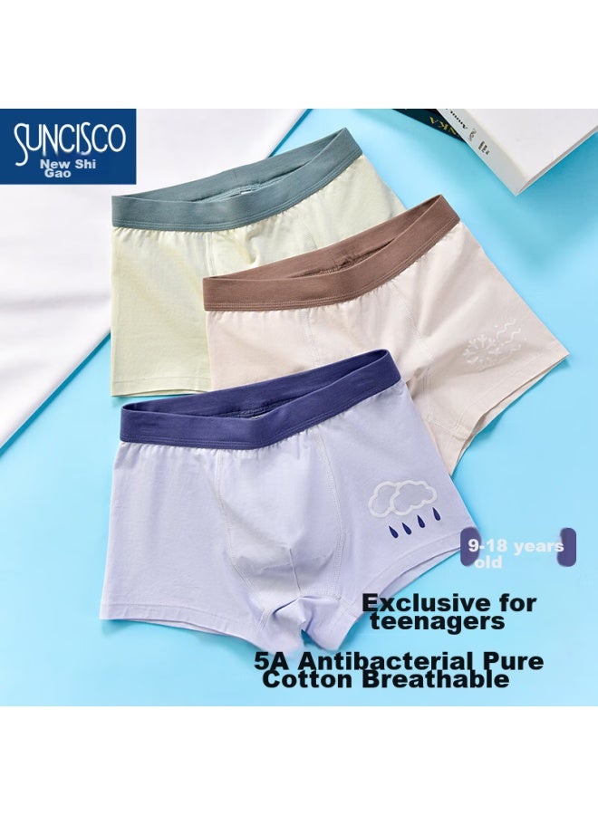 Suncisco Boys' Boxer Briefs For Ages 12-16, Antibacterial Underwear For Teenagers In Puberty, 160 - Image 1