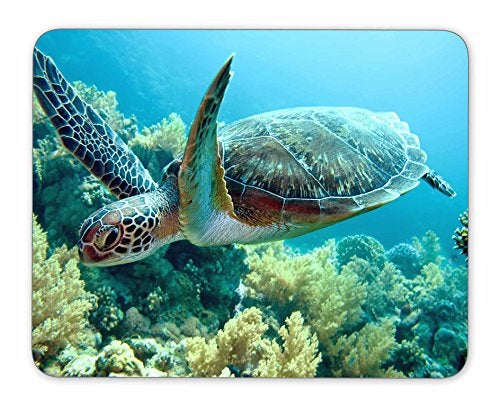 QJ CMJ Green sea Turtle Mouse pad, Natural Rubber Mouse Pad, Quality Creative Wrist-Protected Wristbands Personalized Desk, Mouse Pad (9.5 inch x 7.9 inch) - Image 5