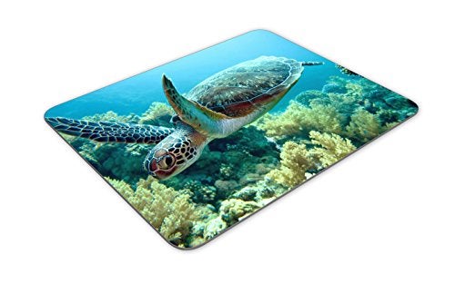 QJ CMJ Green sea Turtle Mouse pad, Natural Rubber Mouse Pad, Quality Creative Wrist-Protected Wristbands Personalized Desk, Mouse Pad (9.5 inch x 7.9 inch) - Image 2