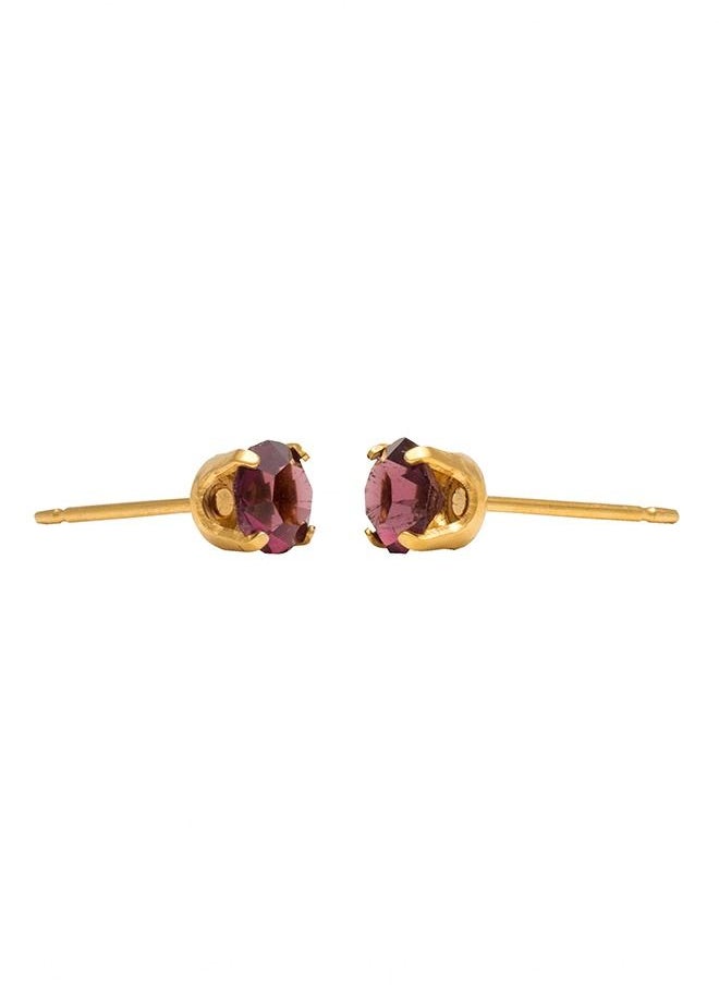 Studex - 5MM February Amethyst 24K Pure Gold Plated Ear Studs - Image 1