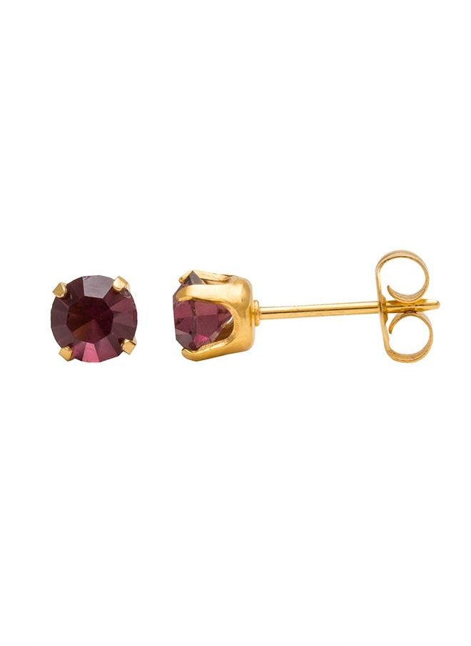 Studex - 5MM February Amethyst 24K Pure Gold Plated Ear Studs - Image 1