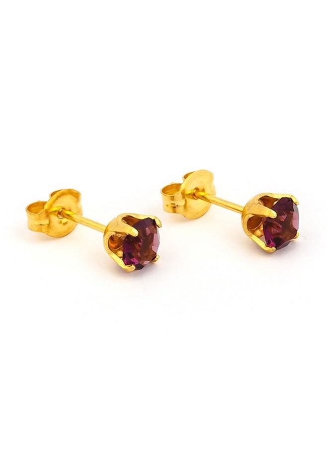 Studex - 5MM February Amethyst 24K Pure Gold Plated Ear Studs - Image 1