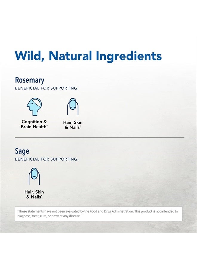 North American Herb & Spice Neuroloft - 12 fl. oz. - Daily Tonic - Antioxidant Support, Supports Healthy Neurological Function - Non-GMO - 12 Servings - Image 3