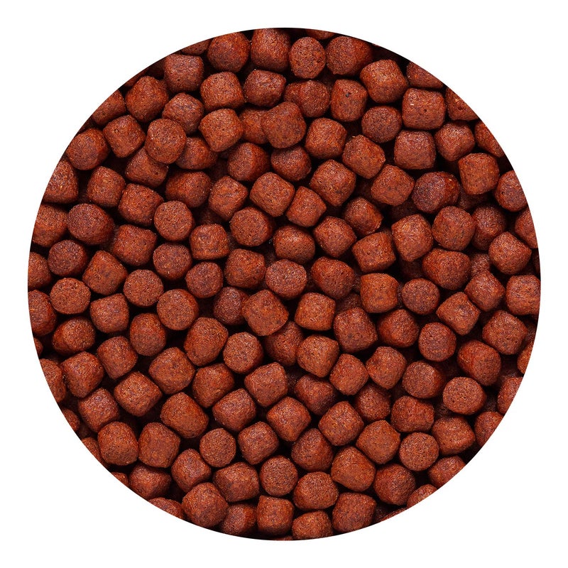 Hikari Blood Red Parrot+ Fish Food, Medium Pellet, 11.7 oz. (333g) - Image 4