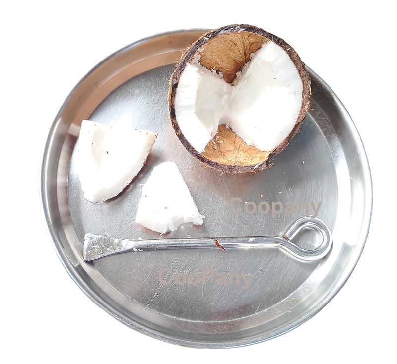 CooPany مجموعة أدوات المطبخ من كوبايني، قاطع جوز الهند من الفولاذ المقاوم للصدأ ومبشرة جوز الهند بمقبض خشبي، أفضل أداة متعددة الاستخدامات، عبوة من 2 منتج - Image 4