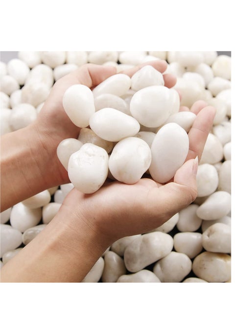 3-5 cm White Decorative Pebbles River Rock Large White Light Polished Stones For Glassware, Vases, Outdoor Graden, Lawn Aquariums