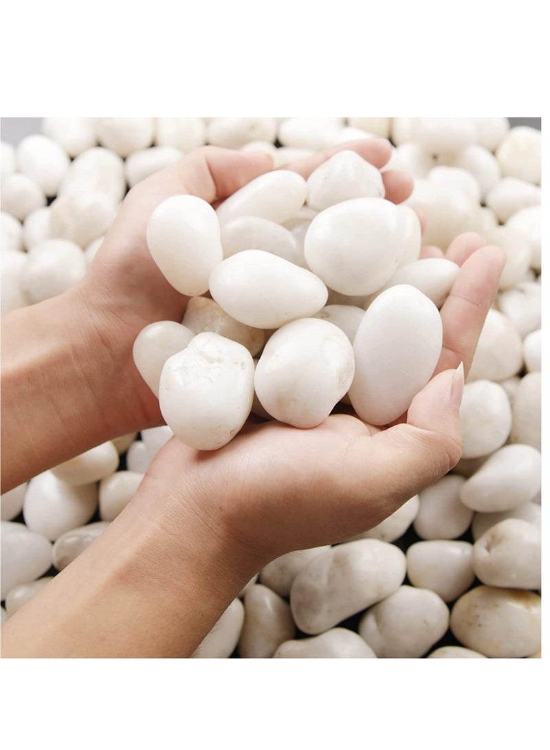 vsell24 Large White River Pebbles (3–5cm) – Polished Decorative Stones for Home, Vases & Outdoor Landscaping - Image 1