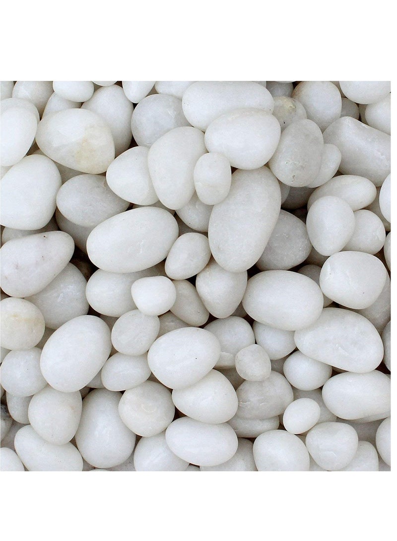 vsell24 Large White River Pebbles (3–5cm) – Polished Decorative Stones for Home, Vases & Outdoor Landscaping - Image 5