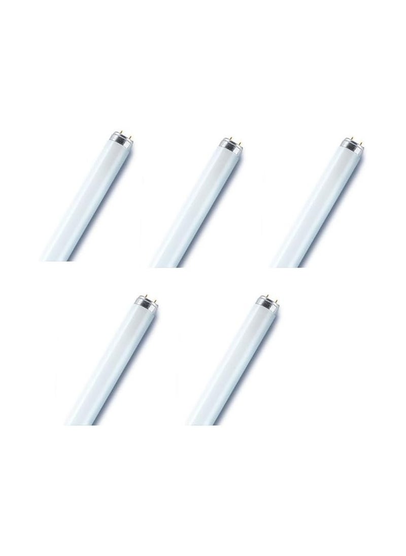 Osram - Osram/ Ledvance Fluorescent Tube Light Basic T8 L 36 Watts 3000k Warm White G13 Base- Pack of 5 - Image 1