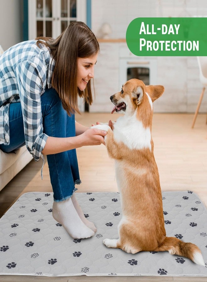 جو جرين فوط تدريب الحيوانات الأليفة المقاومة للماء والقابلة لإعادة الاستخدام من GOGREEN، فوط تدريب قابلة للغسل للكلاب والجراء، فوط تدريب على استخدام المرحاض مع قاعدة مانعة للتسرب (عبوة واحدة، 72 بوصة × 72 بوصة) - Image 4