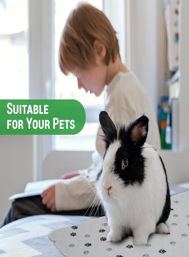 جو جرين فوط تدريب الحيوانات الأليفة المقاومة للماء والقابلة لإعادة الاستخدام من GOGREEN، فوط تدريب قابلة للغسل للكلاب والجراء، فوط تدريب على استخدام المرحاض مع قاعدة مانعة للتسرب (عبوة واحدة، 72 بوصة × 72 بوصة) - Image 3