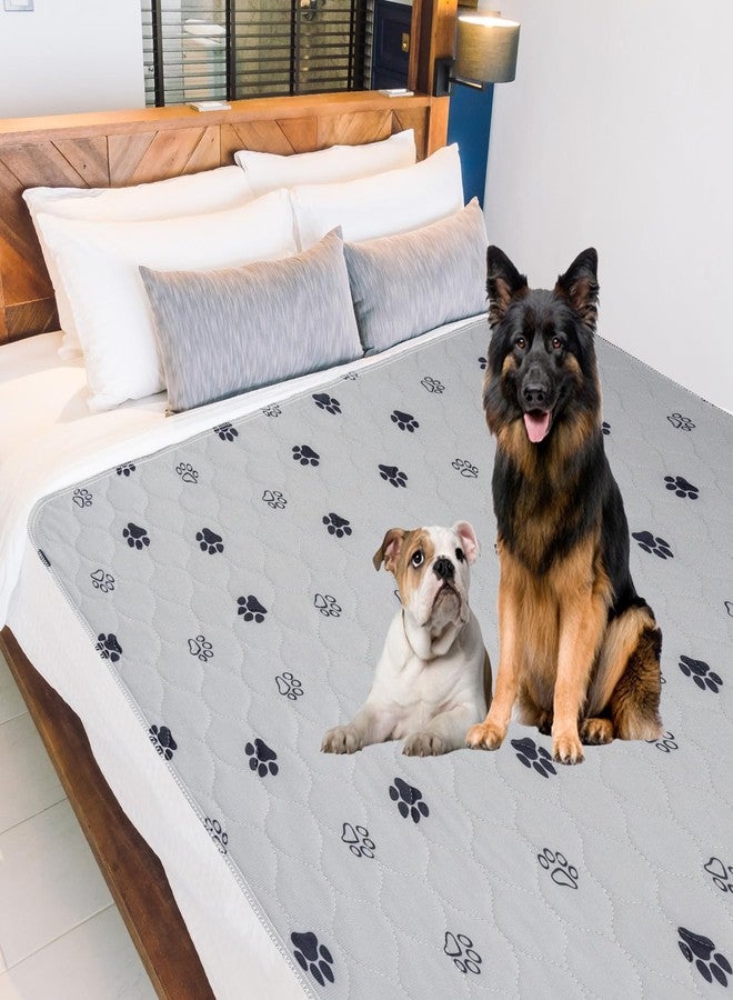 جو جرين فوط تدريب الحيوانات الأليفة المقاومة للماء والقابلة لإعادة الاستخدام من GOGREEN، فوط تدريب قابلة للغسل للكلاب والجراء، فوط تدريب على استخدام المرحاض مع قاعدة مانعة للتسرب (عبوة واحدة، 72 بوصة × 72 بوصة) - Image 2