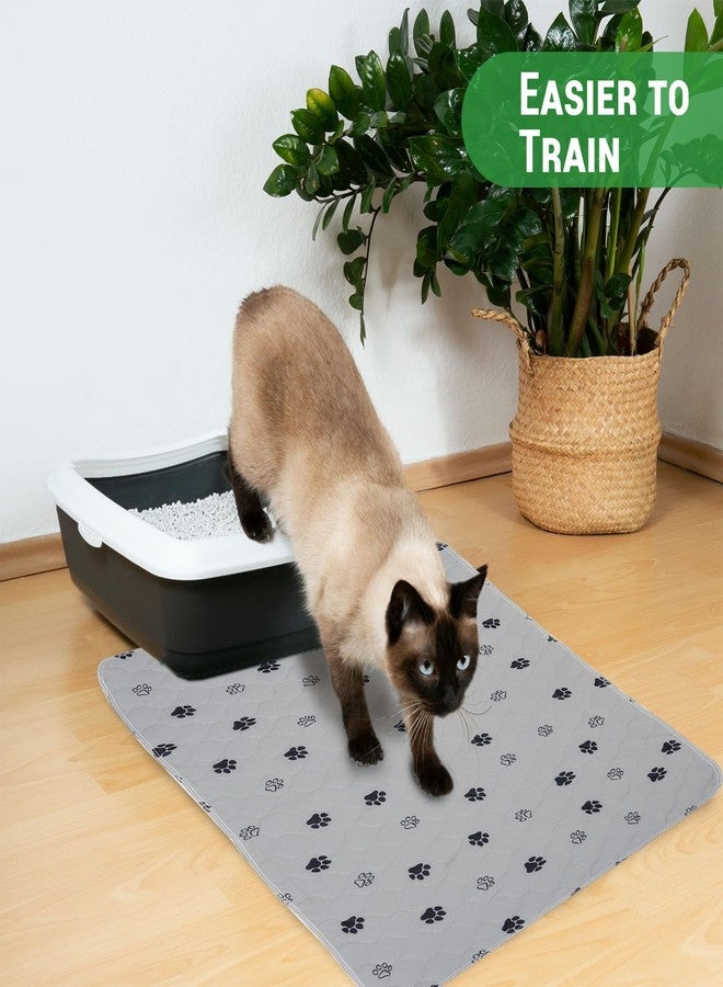 جو جرين فوط تدريب الحيوانات الأليفة المقاومة للماء والقابلة لإعادة الاستخدام من GOGREEN، فوط تدريب قابلة للغسل للكلاب والجراء، فوط تدريب على استخدام المرحاض مع قاعدة مانعة للتسرب (عبوة واحدة، 72 بوصة × 72 بوصة) - Image 5